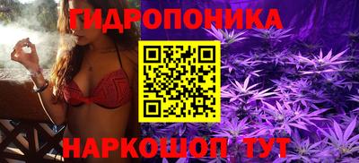 кокс Малоярославец