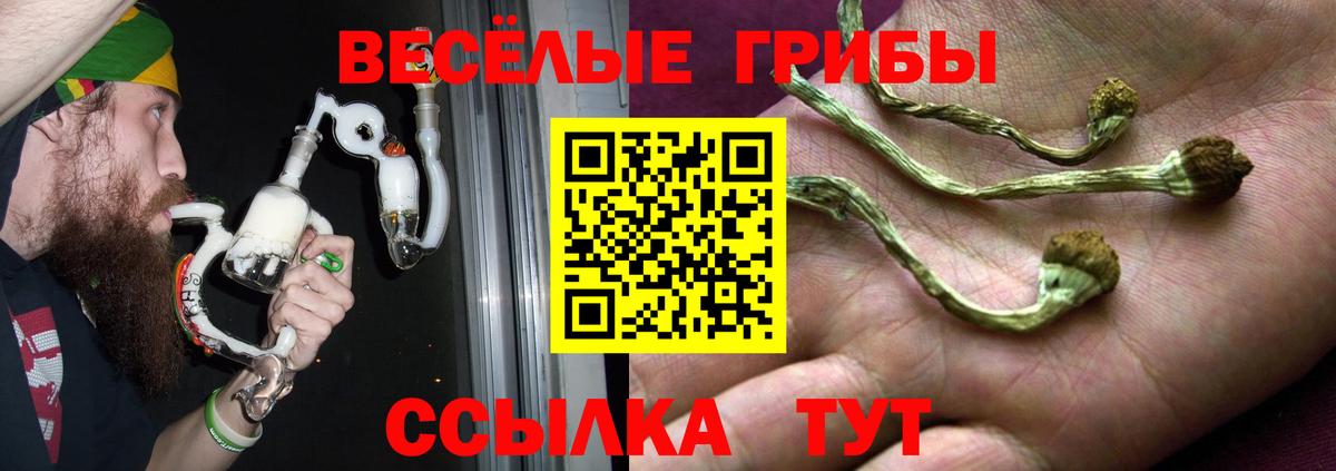 Галлюциногенные грибы ЛСД  Вход с VPN  Галлюциногенные грибы Psilocybe  Уварово 